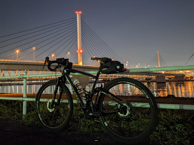 Kiyosuna Bridge on Arakawa River with Niner MCR 9 RDO